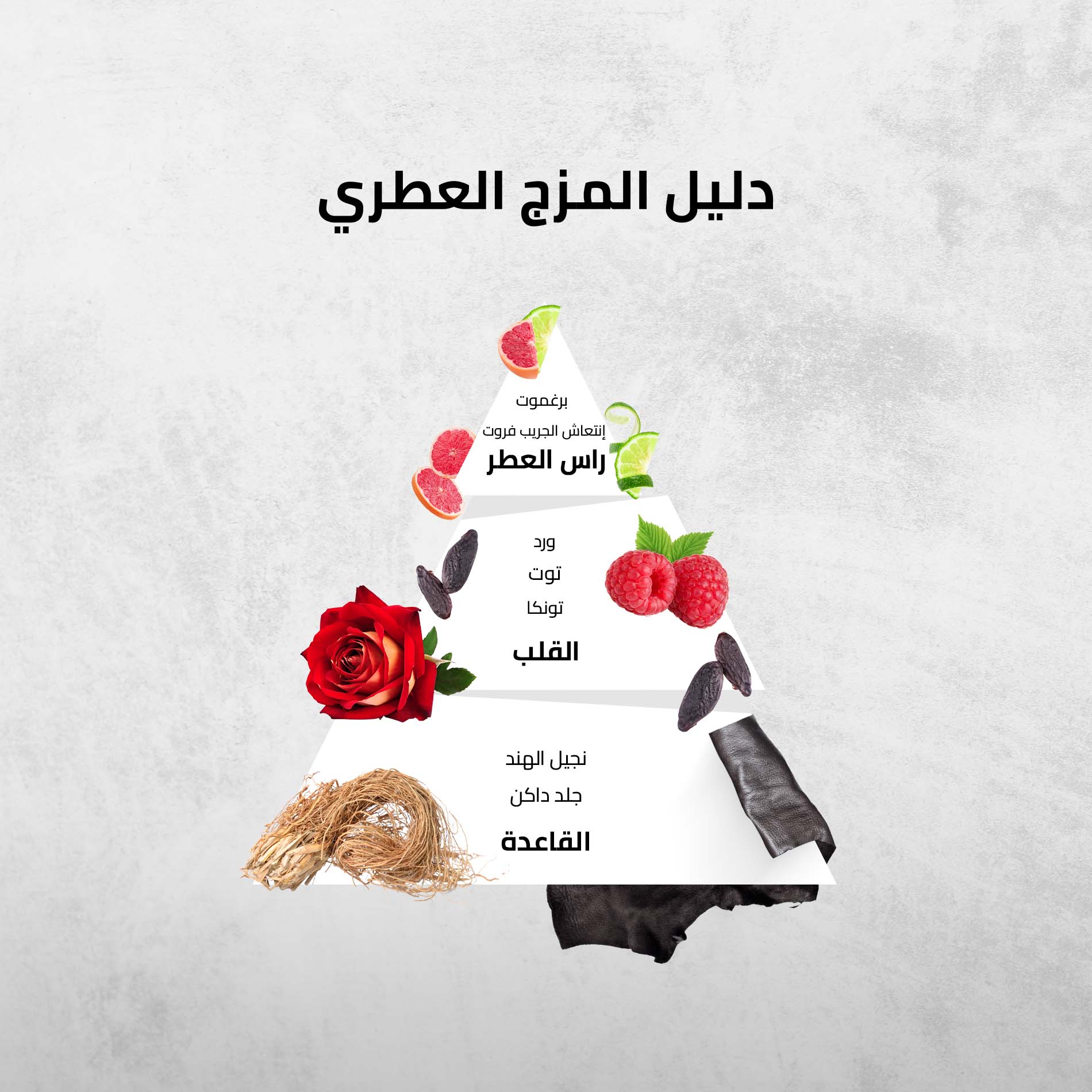 برج القوس